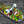 Creature Hallucination Skateboard Complete / 8