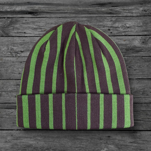 Quasi Blender Beanie / Iguana Green