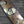 Santa Cruz Pace Stocks Skate Deck / 8.7