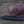 Spitfire Lil' Bighead Strapback Hat / Burgundy