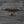 Thunder Goldline Hollow Lights Trucks / 148mm